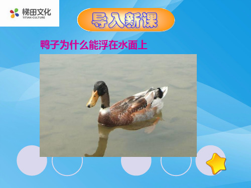 2018陕西中考物理名师ppt(24份) 人教版9优质课件优质课件