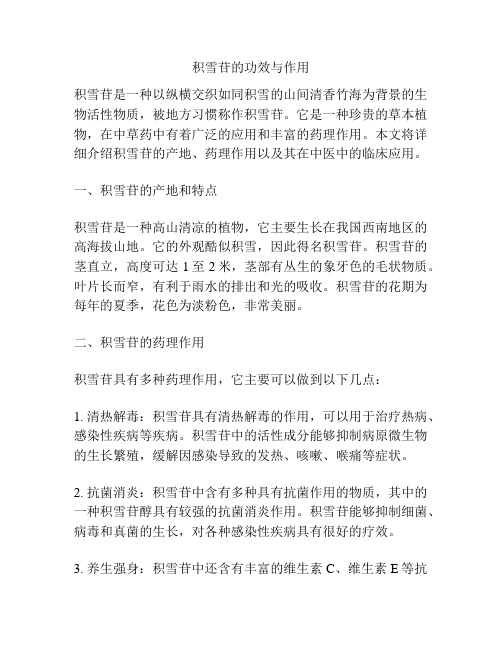 积雪苷的功效与作用
