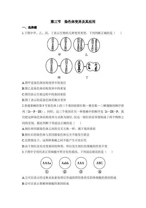 苏教版高中生物必修2 3.3《染色体变异及其应用》能力提升