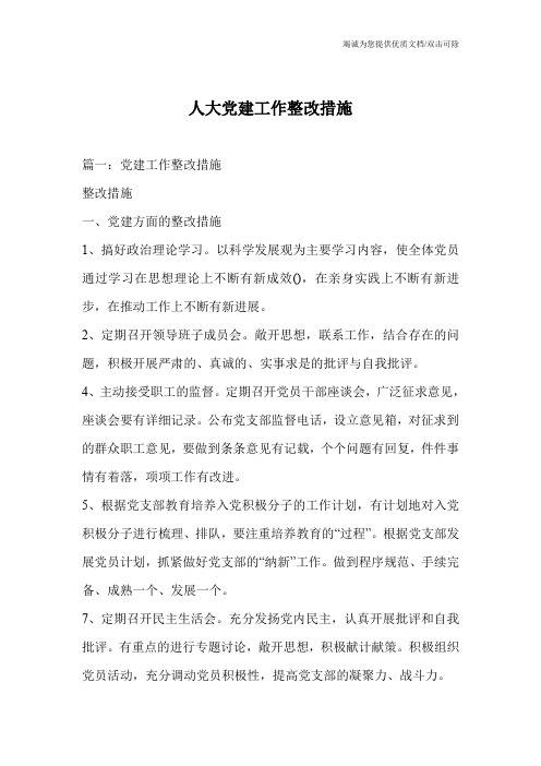 人大党建工作整改措施_0