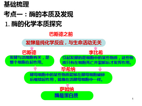 生物必修一酶高三一轮复习PPT课件