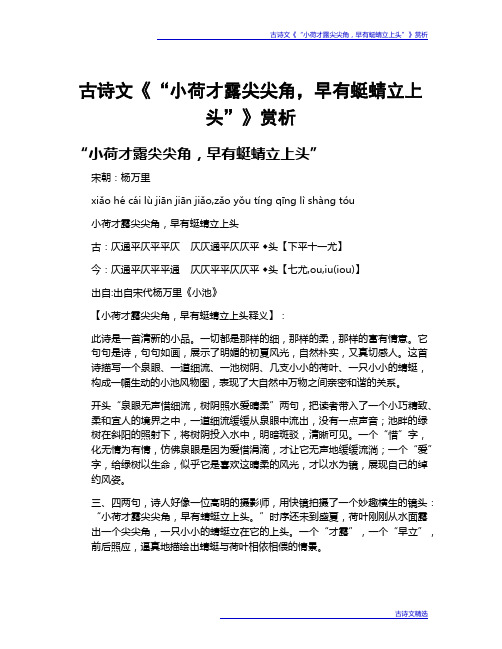 古诗文《“小荷才露尖尖角,早有蜓蜻立上头”》赏析