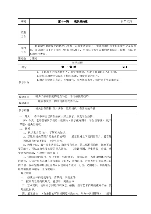 11.镜头里的花