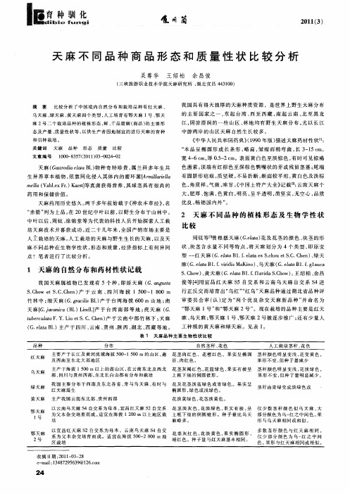 天麻不同品种商品形态和质量性状比较分析