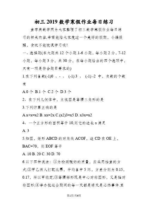 初三数学寒假作业每日练习