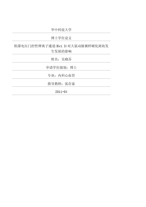 阻滞电压门控性钾离子通道Kv13对大鼠动脉粥样硬化斑块发生发展影响