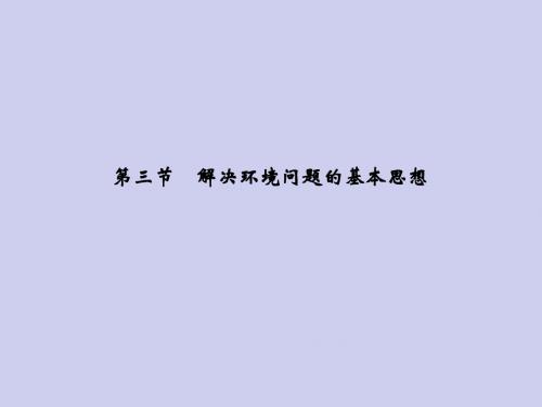 高中地理 1.3 解决环境问题的基本思想精品课件