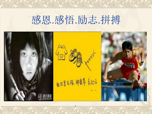 励志.感恩.拼搏精选课件.ppt