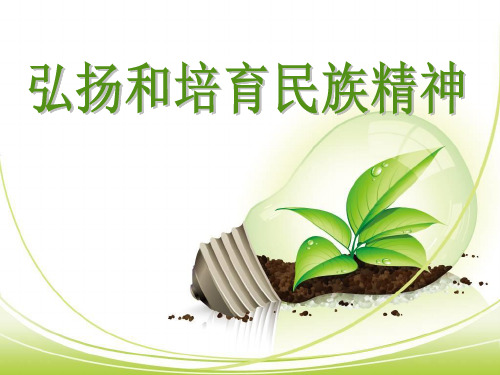 《弘扬和培育民族精神》中华文化与民族精神PPT课件二