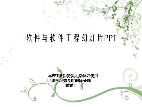 软件与软件工程幻灯片PPT