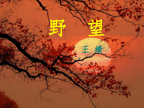 八年级12课唐诗五首ppt课件