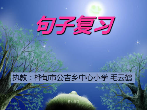 小学语文：六年级上册专项复习课件——句子(完整版).ppt