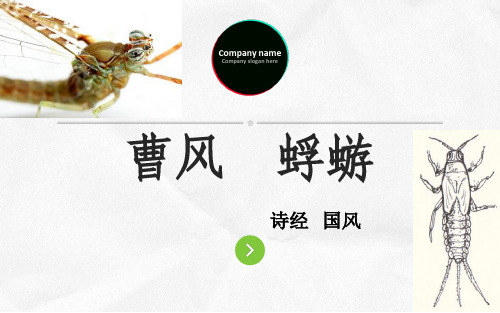 曹风蜉蝣原文译文注释欣赏解析题解