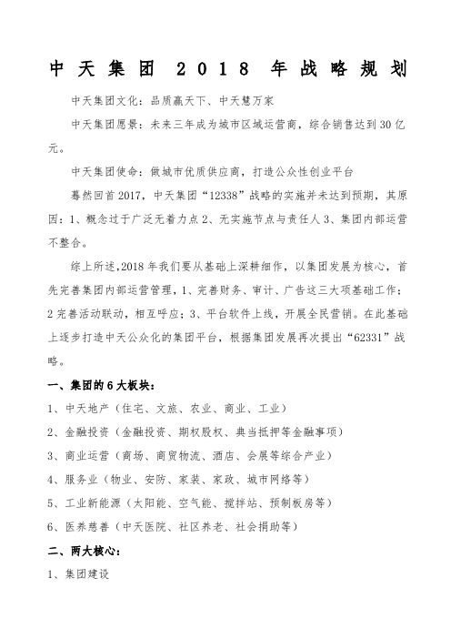 中天集团战略规划