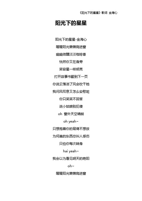 《阳光下的星星》歌词 金海心