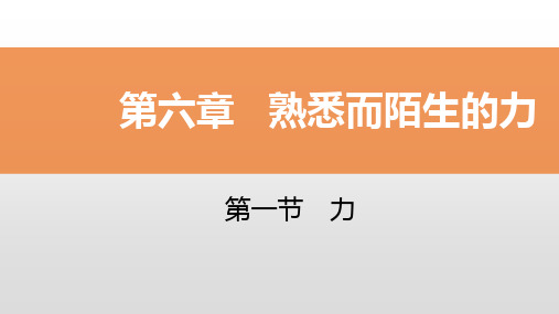 沪科版八年级物理第六章熟悉而陌生的力复习导学课件
