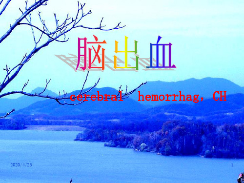 脑出血 课件