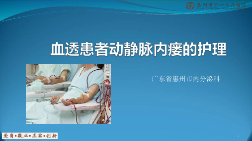 血透患者动静脉内瘘的护理PPT课件