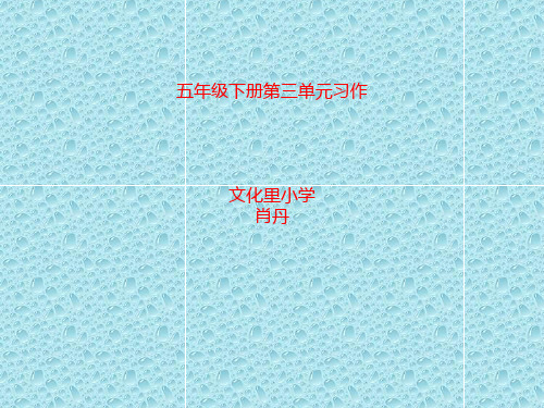 最新人教版小学语文 五年级下册第三单元习作