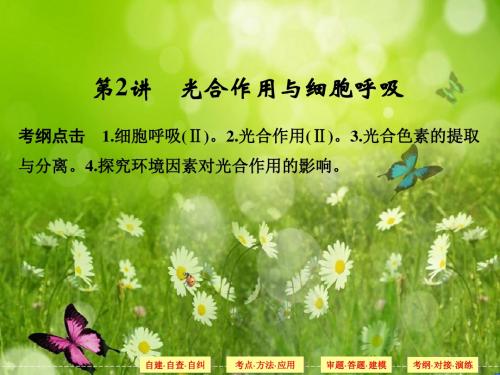 (浙江)生物高考二轮专题复习课件：专题2 第2讲 光合作用与细胞呼吸 (57ppt)