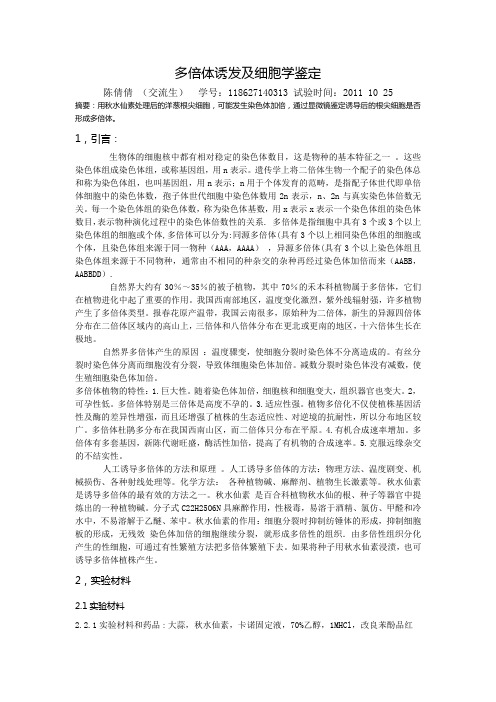 多倍体诱发及细胞学鉴定实验报告