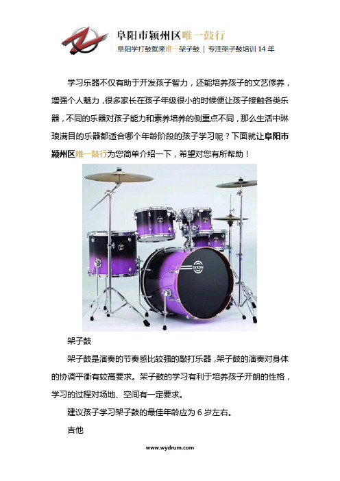 孩子几岁开始学乐器合适