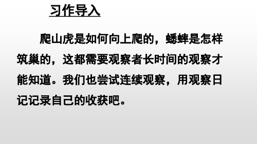 四年级上册语文课件-第三单元 习作 观察日记 人教部编版 (共25张PPT)