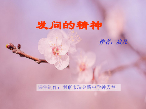 发问的精神PPT教学课件