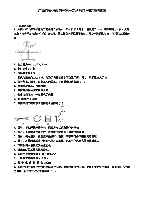 广西省贵港市初三第一次适应性考试物理试题
