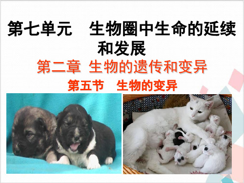 人教版(新课程标准)生物的变异名师课件-ppt下载
