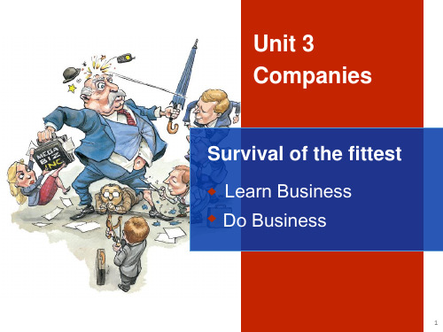 Unit 3 Companies