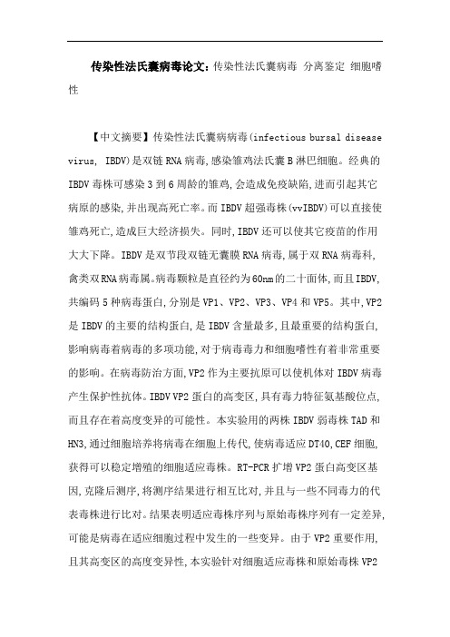 传染性法氏囊病毒论文：传染性法氏囊病毒分离鉴定细胞嗜性