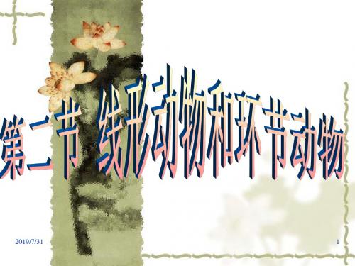 线形动物和环节动物