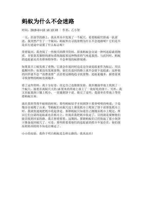 蚂蚁为什么不会迷路