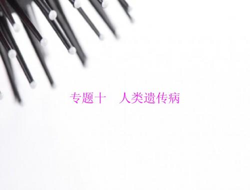 【百年学典】2015高中生物(广东专用)学业水平测试配套课件：专题十 人类遗传病