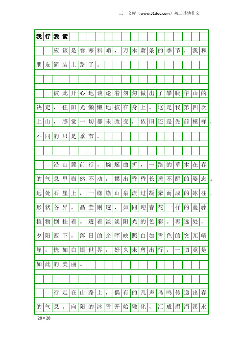 初三其他作文：我行我素