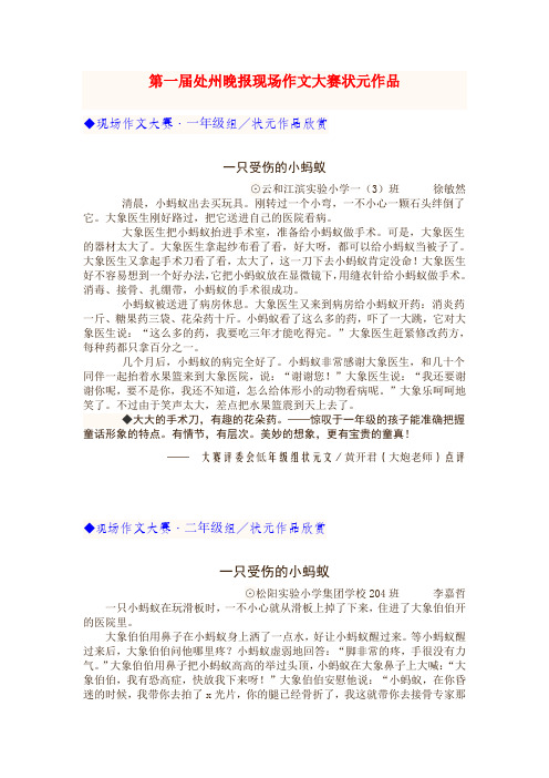 第一届处州晚报现场作文大赛状元作品