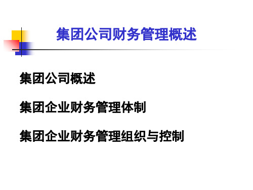 企业集团财务管理概述