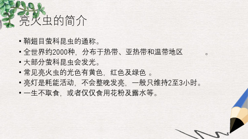 最新湘艺版小学一年级上册音乐课件：萤火虫的介绍