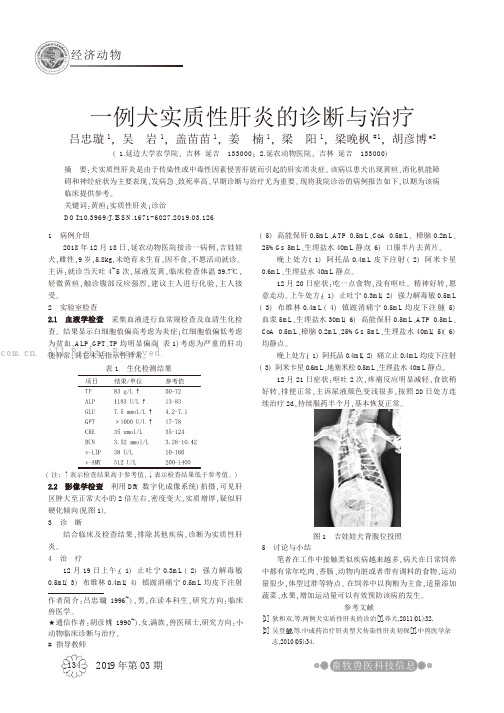 一例犬实质性肝炎的诊断与治疗