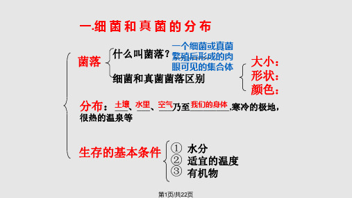 细菌和真菌复习PPT课件