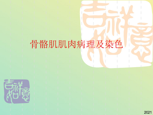 骨骼肌肌肉病理及染色
