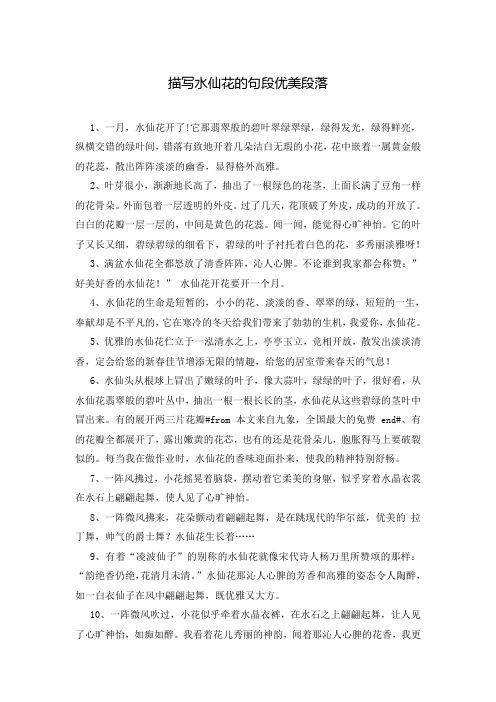 描写水仙花的句段优美段落