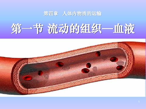 人教版七年级生物下册课件第四章第一节  流动的组织——血液