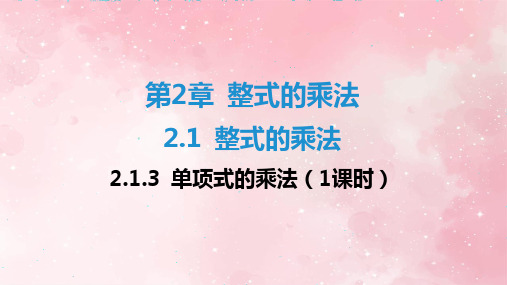 2.1.3_单项式的乘法(1课时)同步练习+课件+2023~2024学年湘教版七年级数学下册+