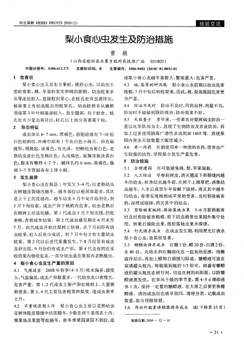 梨小食心虫发生及防治措施