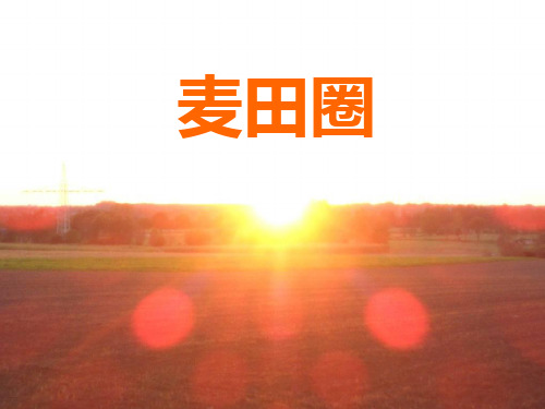 麦田怪圈