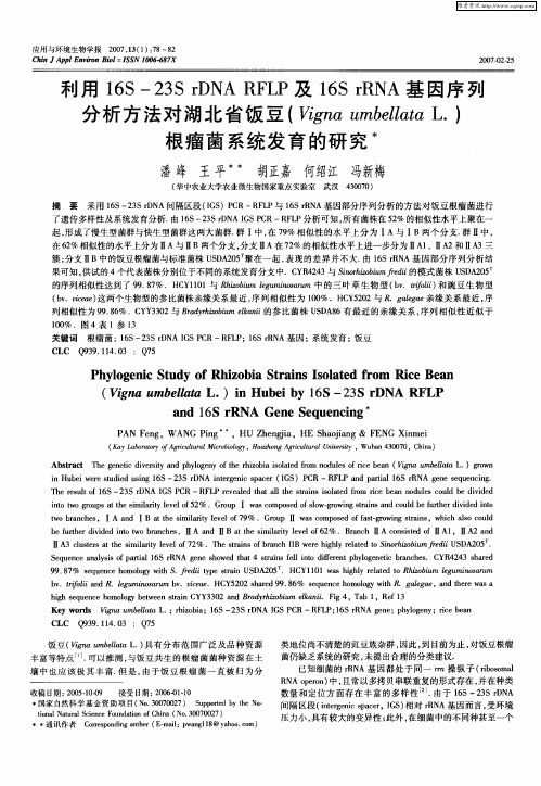 利用16S-23S rDNA RFLP及16S rRNA基因序列分析方法对湖北省饭豆(Vigna umbellata L.)根瘤菌系统发育