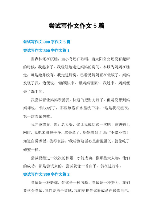 尝试写作文作文5篇