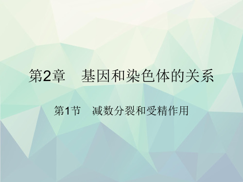 减数分裂与受精作用完整版